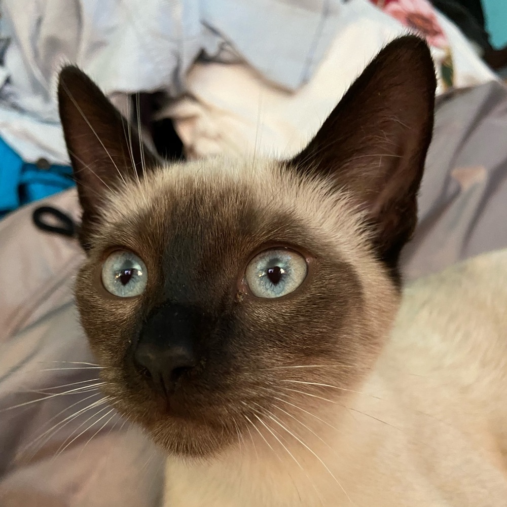 Not For Sale My beautiful Seven